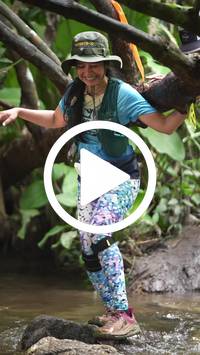 BIB:  <button type="button" onclick="openModal(27592925)" class="btn btn-primary btn-sm float-right" data-toggle="modal" data-target=".modal-high-quality">
                <i class="fa fa-download"></i> Download
                </button>